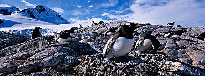 《传奇重装步兵》免费登陆Steam 塔防动作RPG