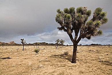 《暗黑破坏神4》1.3.5版更新上线 添加光追支持